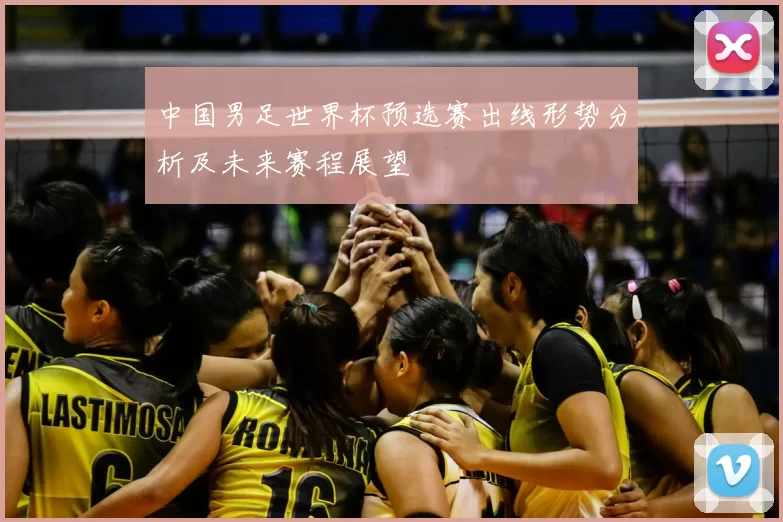 中国男足世界杯预选赛出线形势分析及未来赛程展望